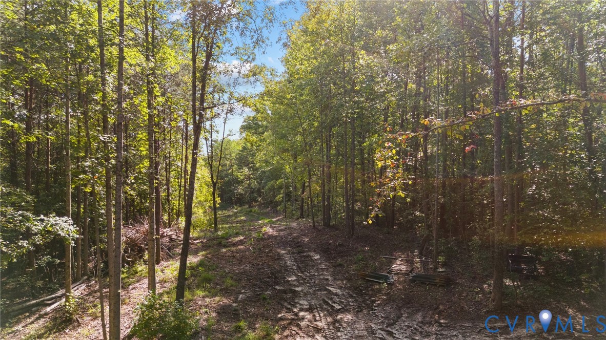 0 Davis Mill Road Goochland, VA 23063 - Photo 6 of 24