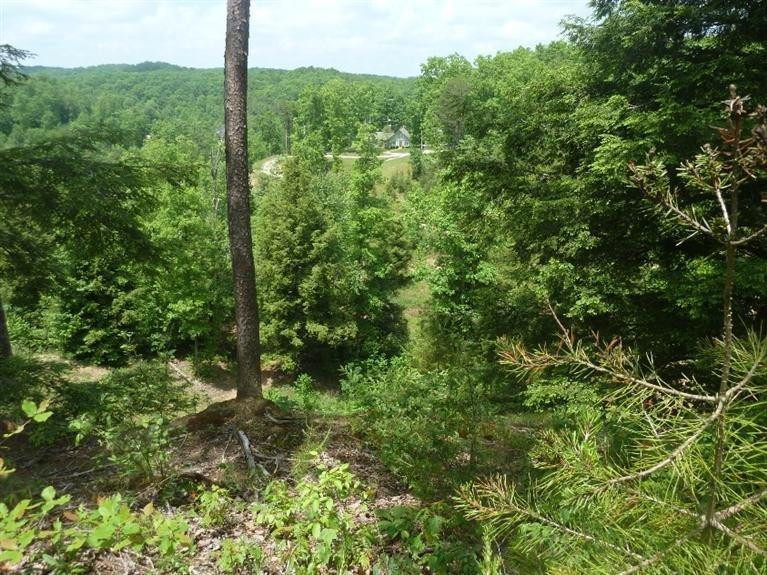 509 Hawk Ridge Road London, KY 40741 - Photo 5 of 19 Photo 5