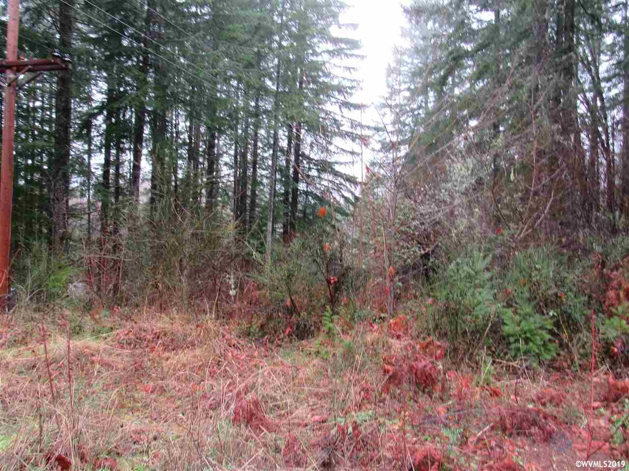 110 Lake Court Detroit, OR 97342 - Photo 4 of 4