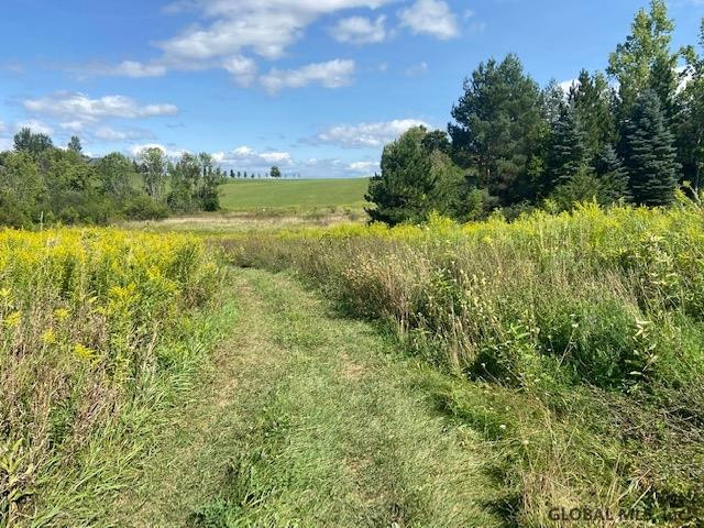 Spore Road Bethlehem, NY 12054 - Photo 1 of 5 Photo 1