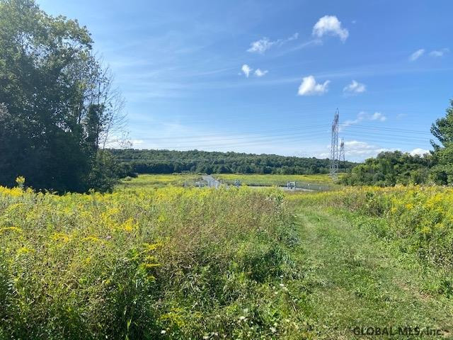 Spore Road Bethlehem, NY 12054 - Photo 3 of 5 Photo 3