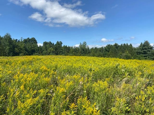 Spore Road Bethlehem, NY 12054 - Photo 5 of 5 Photo 5