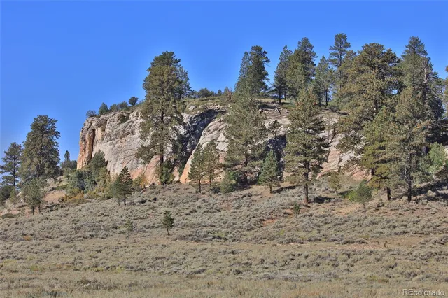 a view of a dry yard with green space