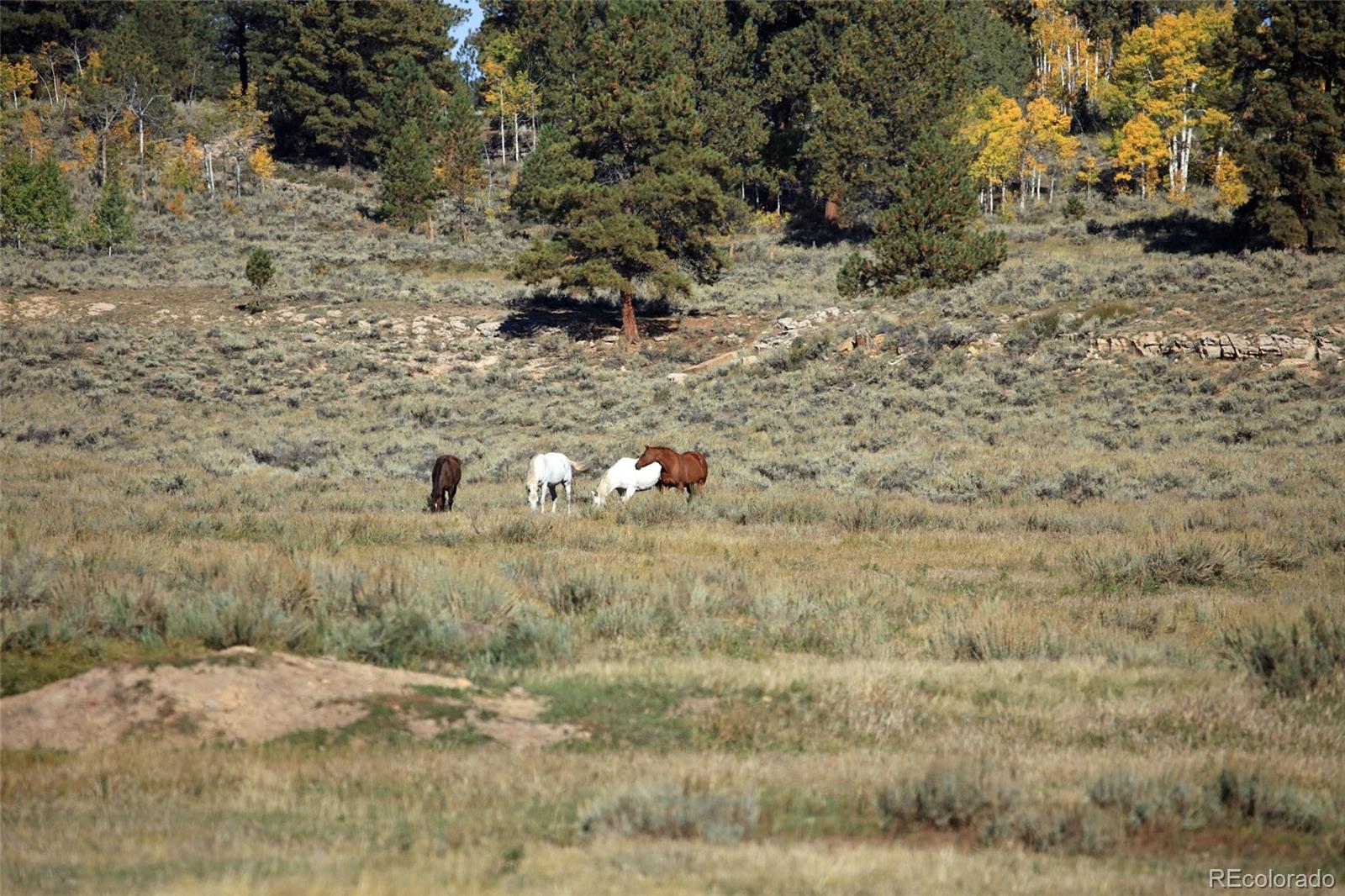 0 Divide Road Whitewater, CO 81527 - Photo 35 of 43 a view of a dry yard with green space