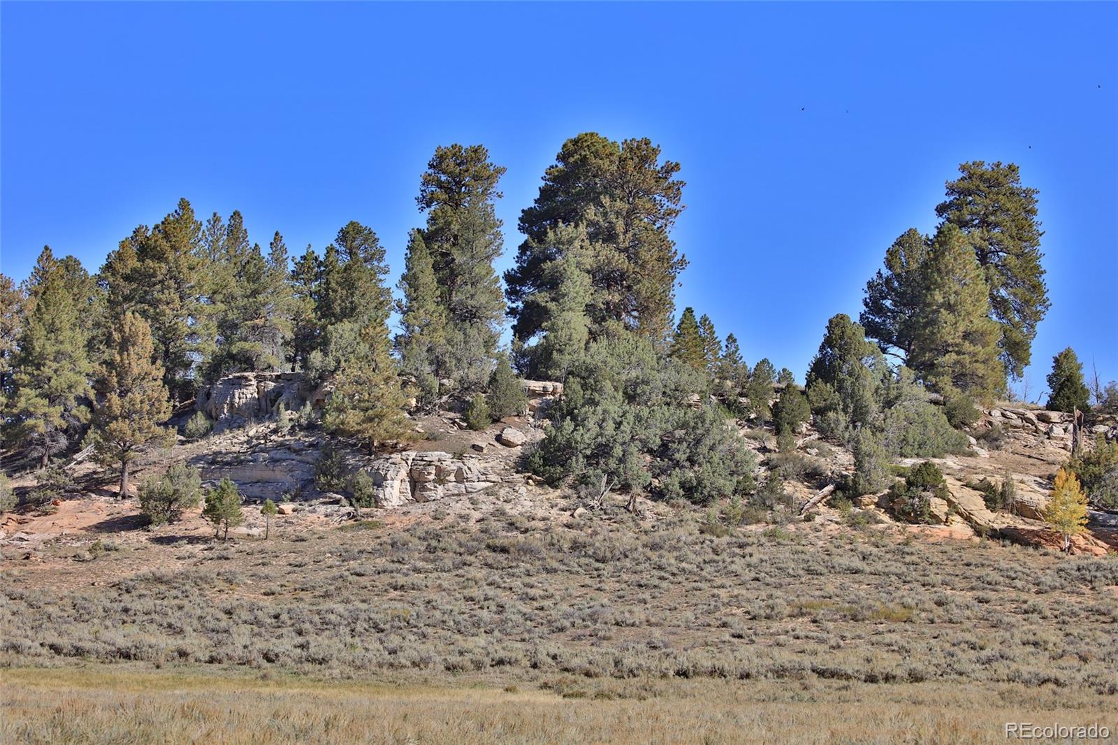 0 Divide Road Whitewater, CO 81527 - Photo 39 of 43 a view of a yard