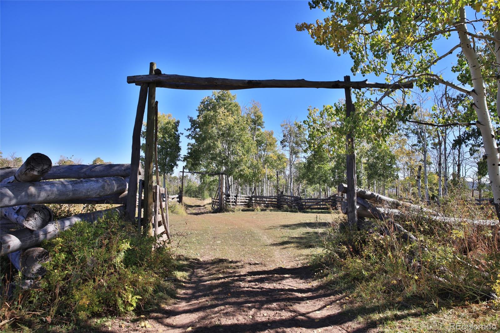 0 Divide Road Whitewater, CO 81527 - Photo 5 of 43 a view of a yard with a tree
