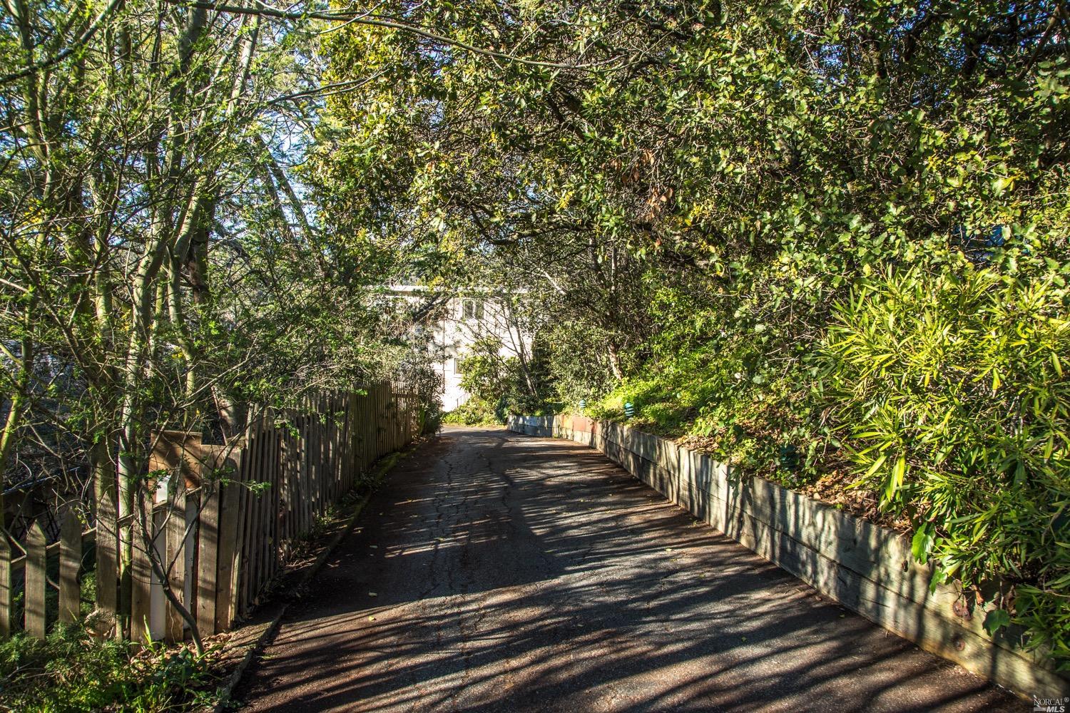 29 North Knoll Road Mill Valley, CA 94941 - Photo 1 of 1 Gallery Image 1