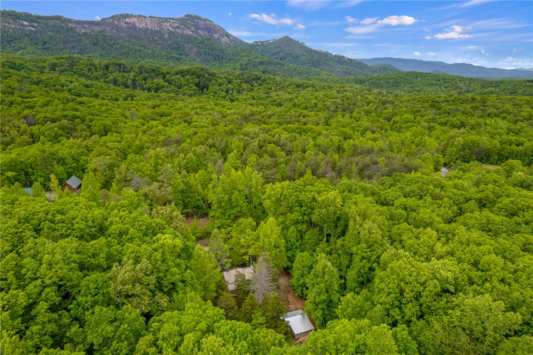 437 West Gate Road Pickens, SC 29671 - Photo 22 of 47 This elevated view captures a home nestled within a dense, vibrant forest, offering serene mountain vistas.