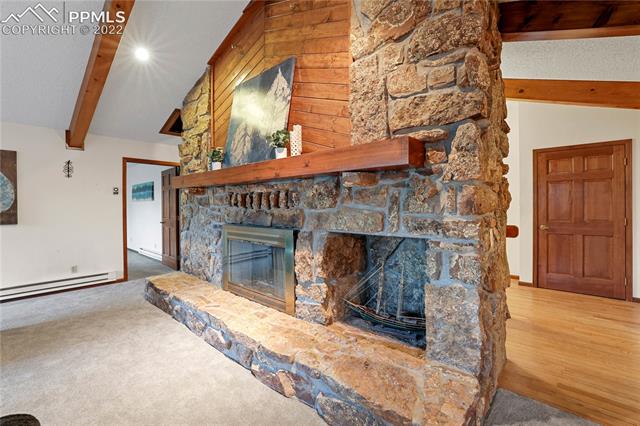 18643 Lower Lake Road Monument, CO 80132 - Photo 10 of 46 Gallery Image 10