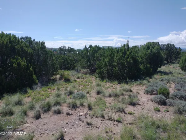 a view of a field