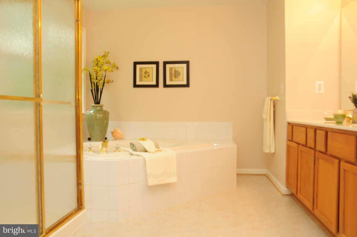 6461 Running Brook Road Manassas, VA 20112 - Photo 23 of 28 Bath Master
