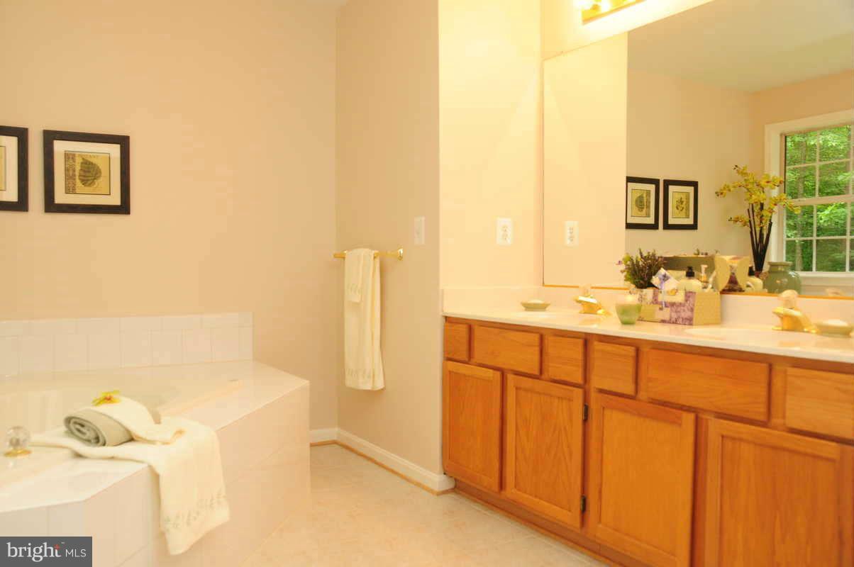 6461 Running Brook Road Manassas, VA 20112 - Photo 24 of 28 Bath Master