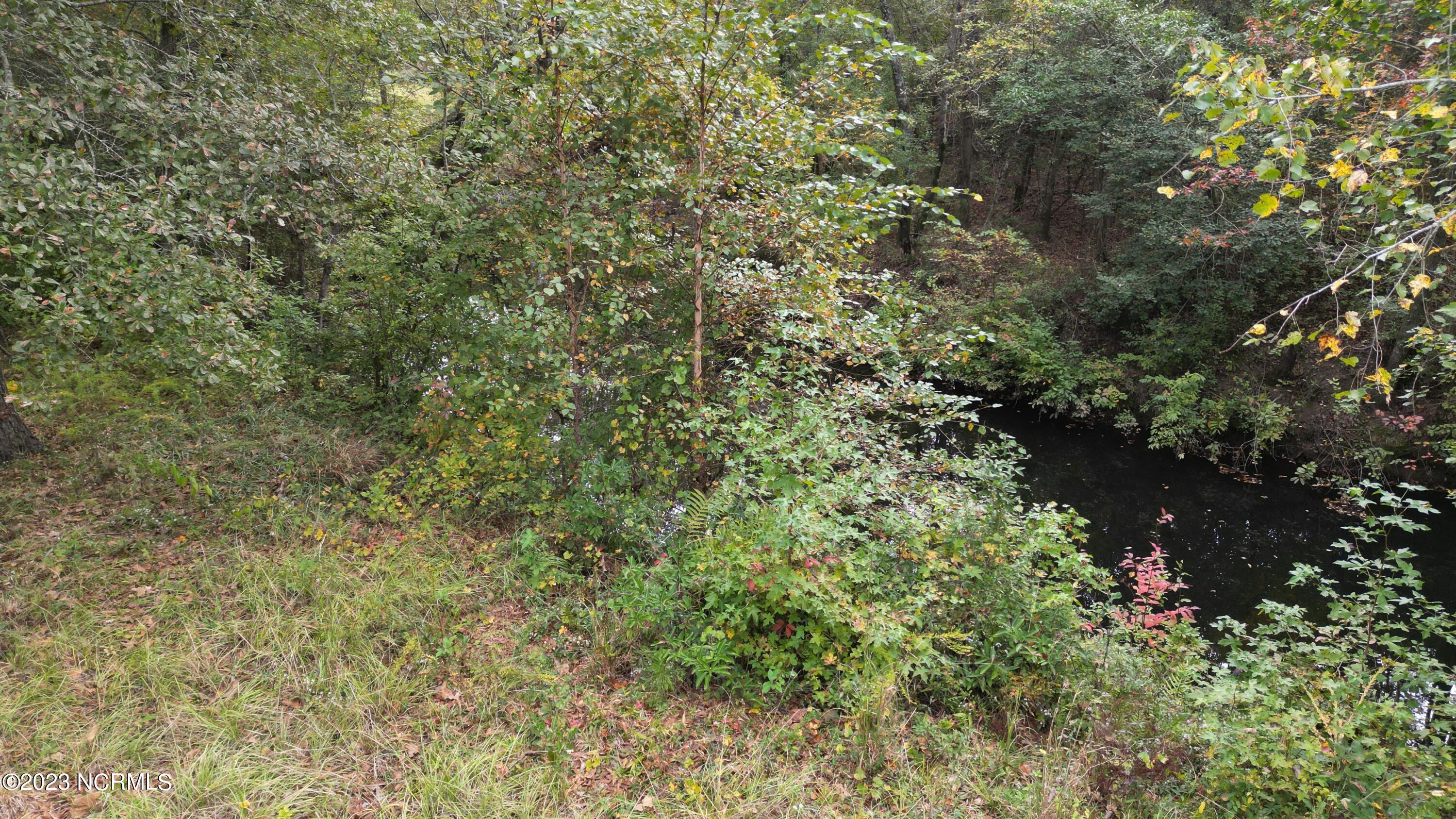18.33-acre McPherson Road Vass, NC 28394 - Photo 17 of 39 DJI_0111