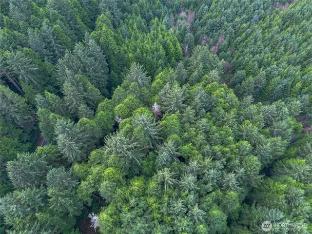 an aerial view of residential house with outdoor space and trees all around