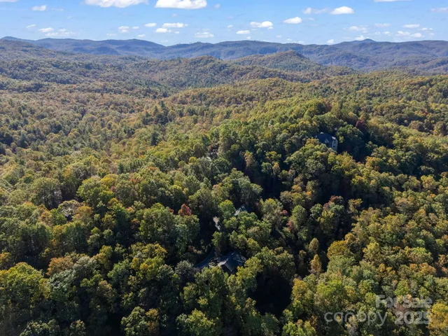 a view of a mountain range with trees in the background