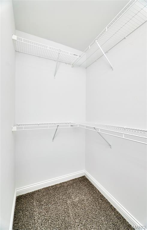 103 Peruque Creek Manor Wright City, MO 63390 - Photo 27 of 67