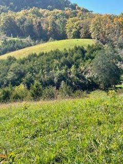 0 McCarter Hollow Road Sevierville, TN 37862 - Photo 6 of 17