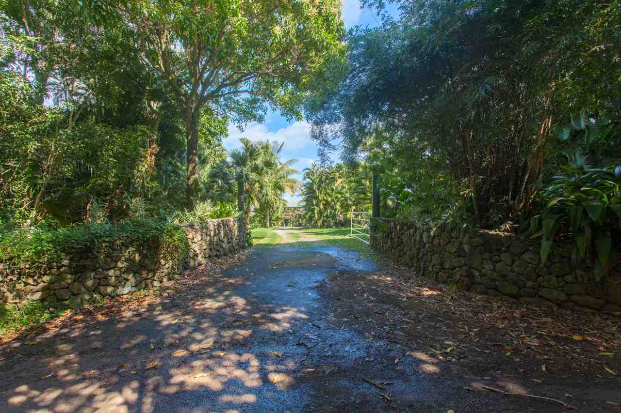 480 Hoolawa Road Haiku, HI 96708 - Photo 5 of 30 a view of outdoor space and trees