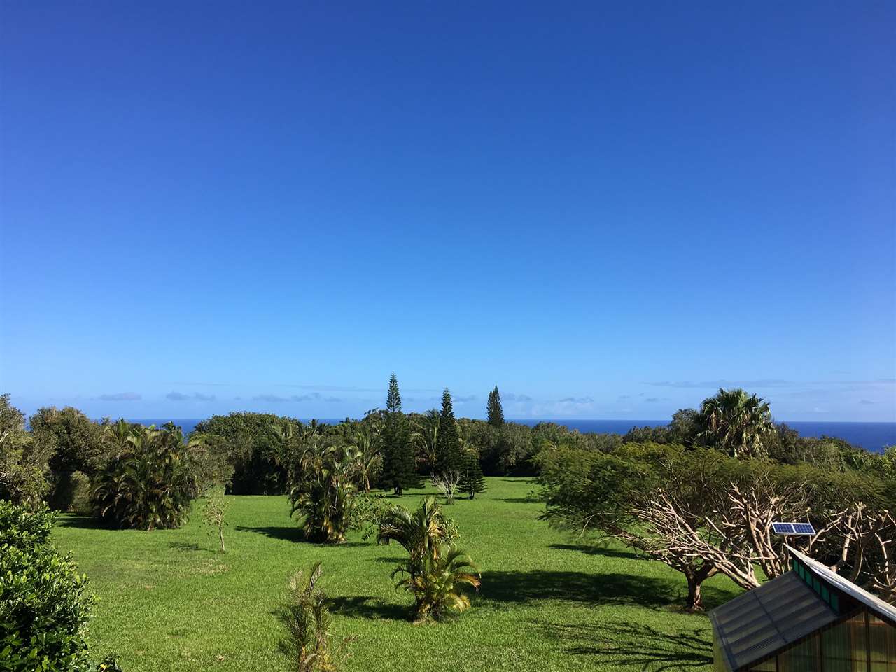480 Hoolawa Road Haiku, HI 96708 - Photo 6 of 30 a view of a city with lush green forest