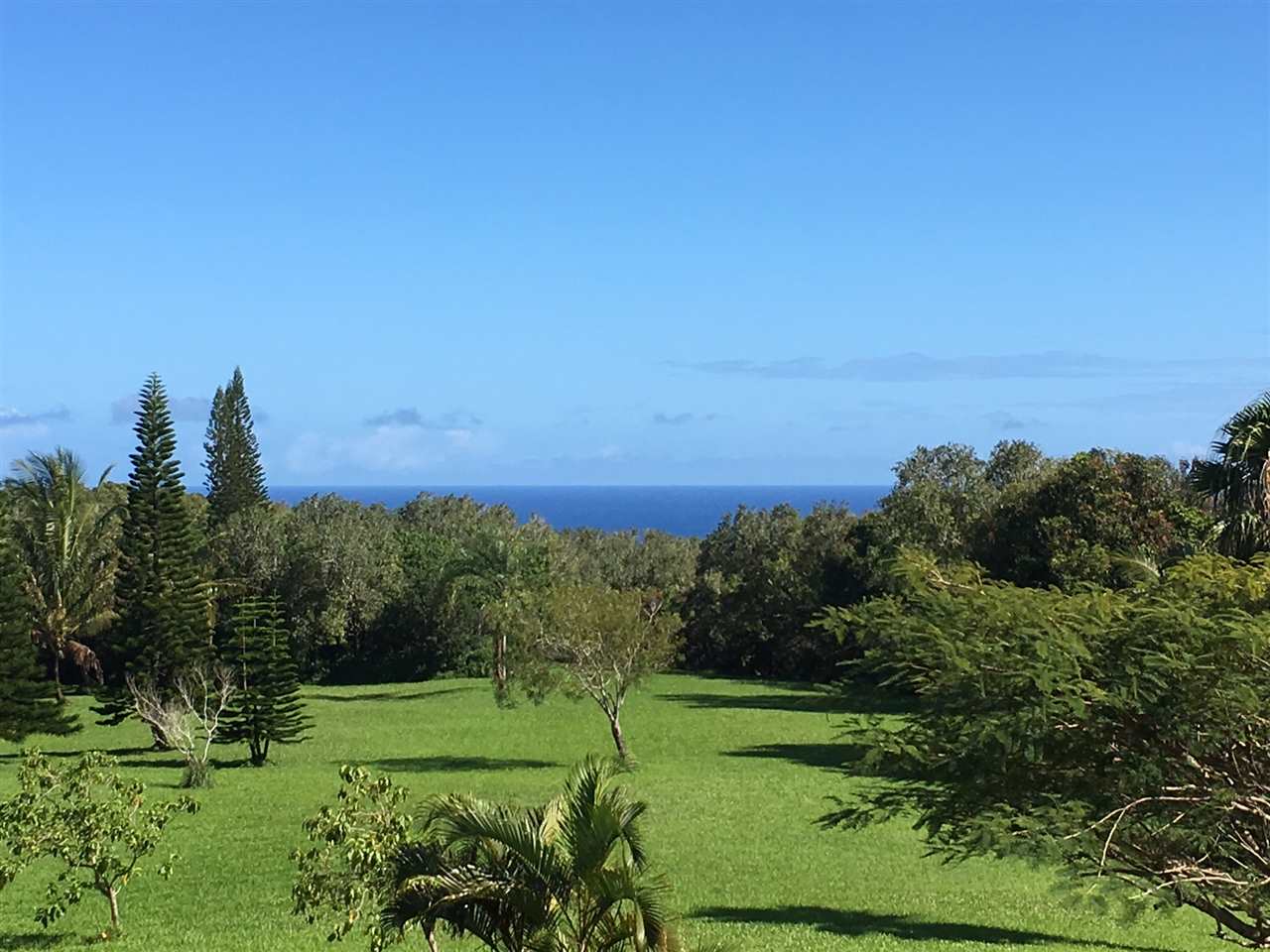 480 Hoolawa Road Haiku, HI 96708 - Photo 7 of 30 a view of a grassy area with an trees
