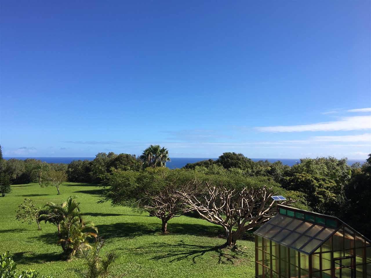 480 Hoolawa Road Haiku, HI 96708 - Photo 8 of 30 a view of a city with lush green forest