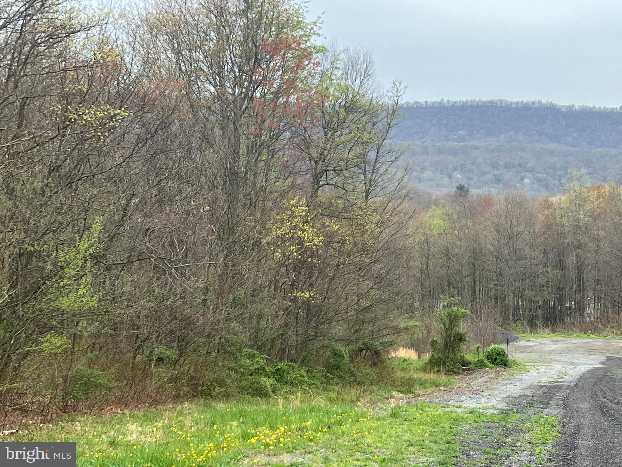 Lot #16 Ridge Way Drive Bedford, PA 15522 - Photo 2 of 4