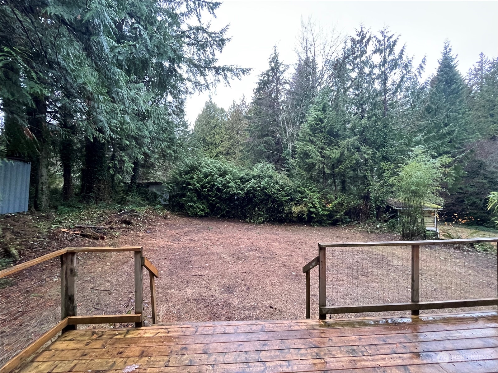 68 Regina Way Point Roberts, WA 98281 - Photo 5 of 24 a view of a backyard with trees