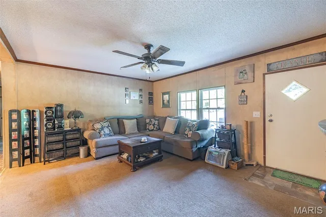 $300,000 | 3822 Wayne Route, Greenville, MO 63944