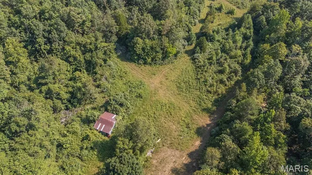 $300,000 | 3822 Wayne Route, Greenville, MO 63944