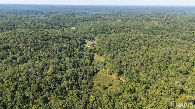 $300,000 | 3822 Wayne Route, Greenville, MO 63944