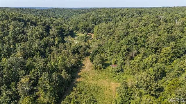 $300,000 | 3822 Wayne Route, Greenville, MO 63944