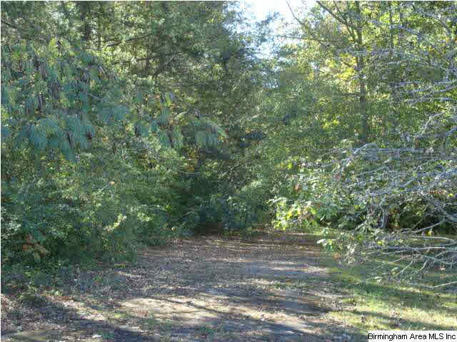 Fitzgerald Road, Unit 19 Oxford, AL 36203 - Photo 21 of 21 Gallery Image 21