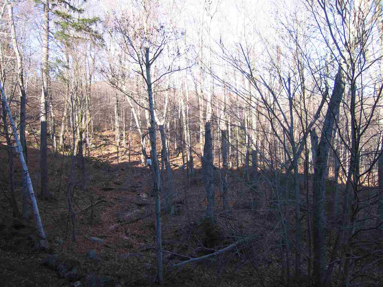 259 Old Mill Road, Unit D14 Killington, VT 05751 - Photo 11 of 11 Gallery Image 11
