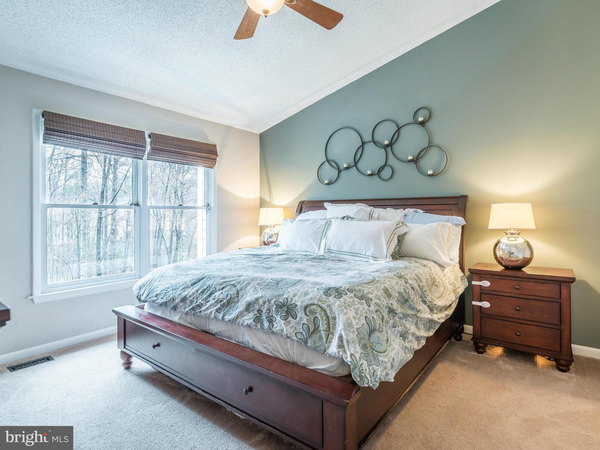 1401 Newport Spring Court Reston, VA 20194 - Photo 14 of 30 Bedroom (Master)