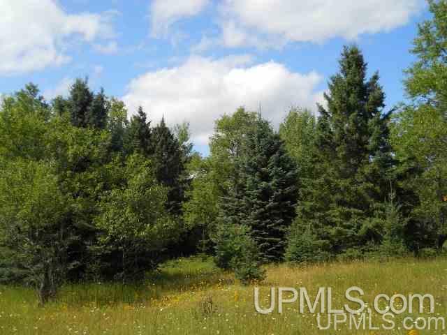 Tbd Tbd Off Stagecoach Road Michigamme, MI 49861 - Photo 7 of 37