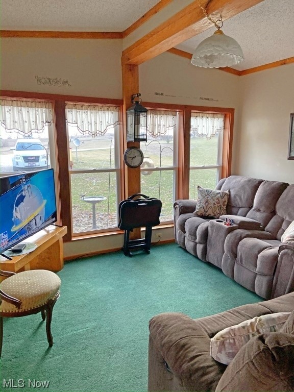 1357 Sand Ridge Road Zanesville, OH 43701 - Photo 9 of 50 Living room with a textured ceiling and carpet