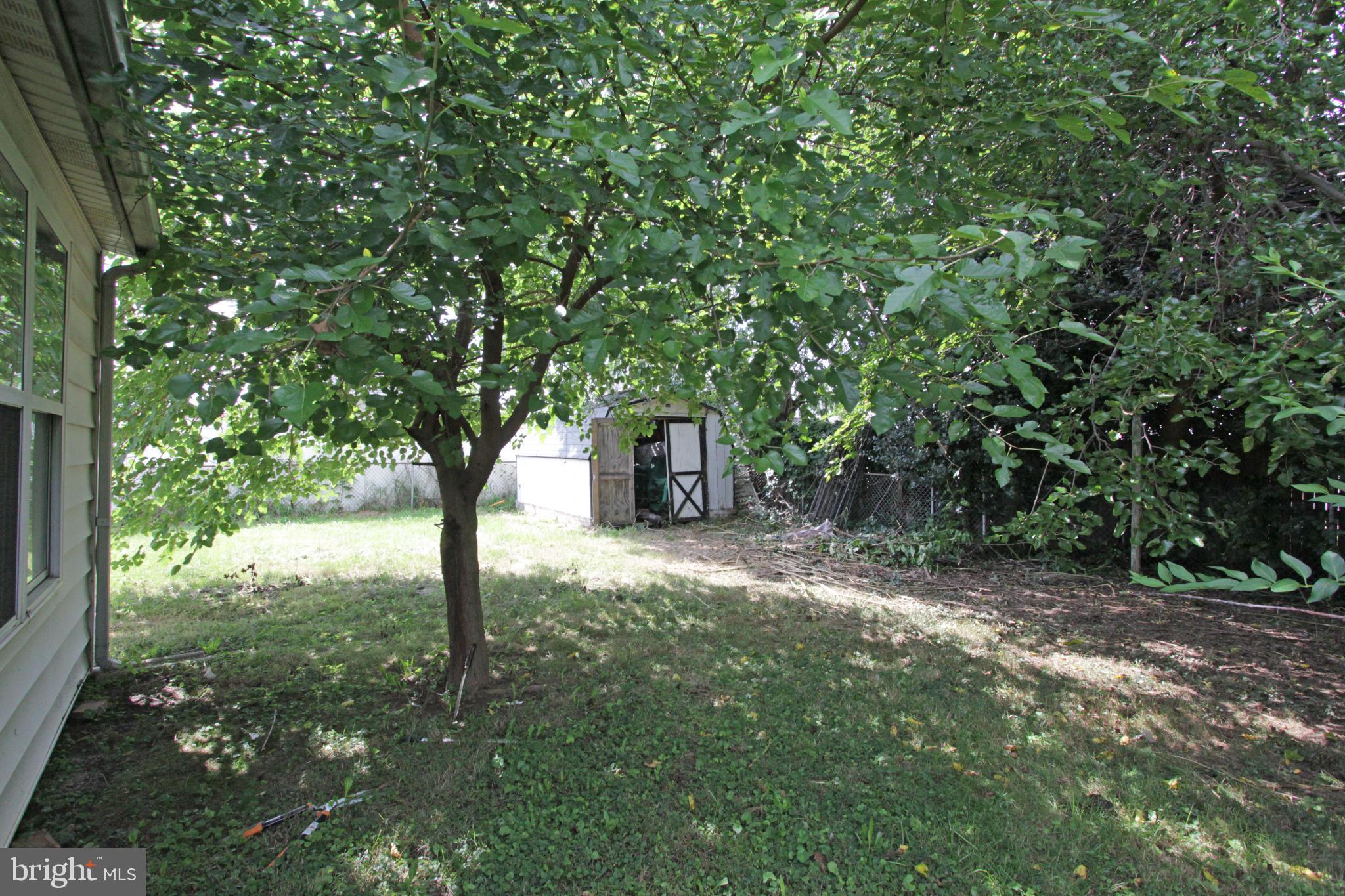 15 Gail Road New Castle, DE 19720 - Photo 11 of 11 Lush backyard oasis with shaded tranquility.