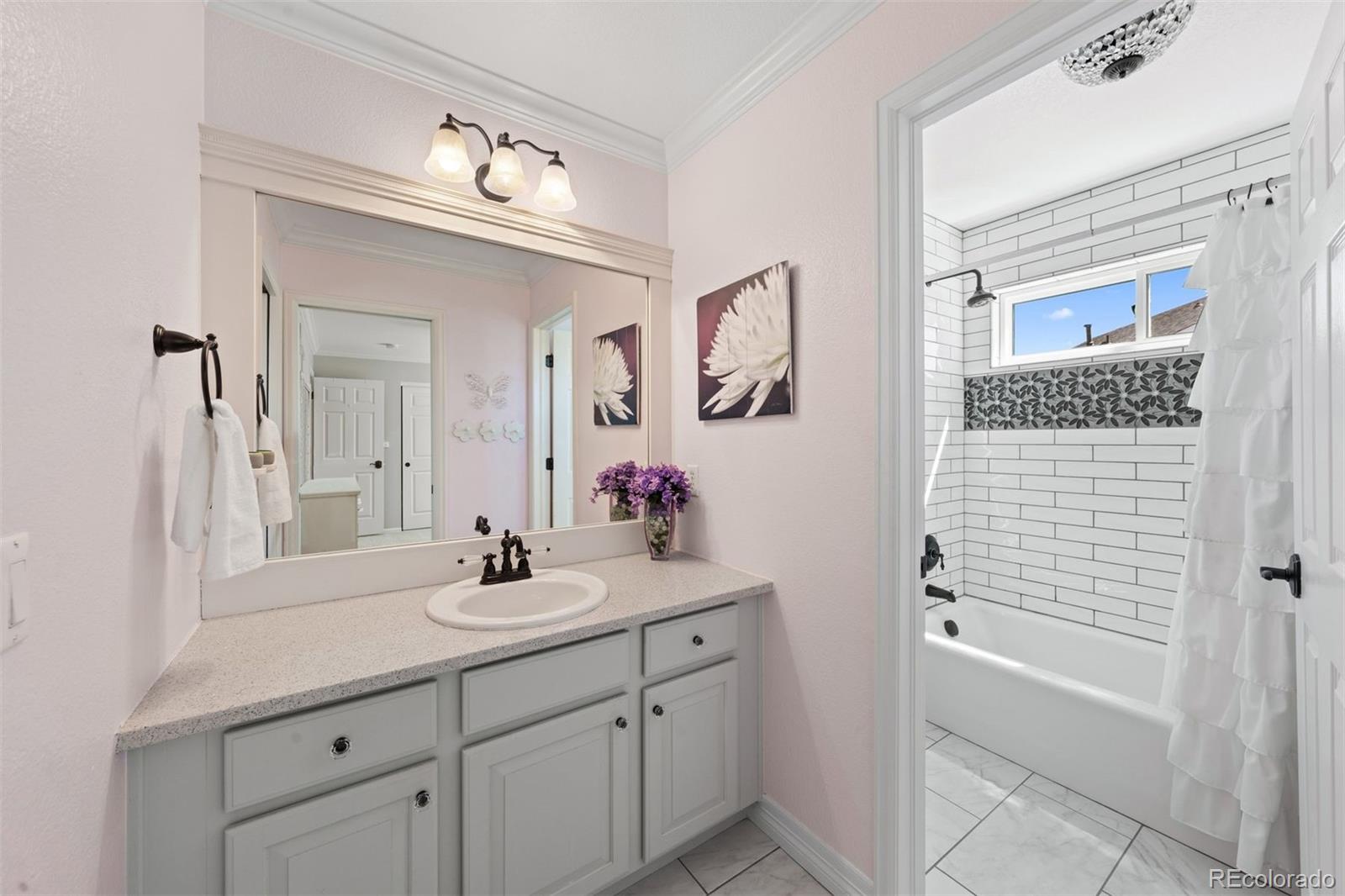 10289 South Dan Court Highlands Ranch, CO 80130 - Photo 23 of 36 a bathroom with a sink a vanity and a mirror