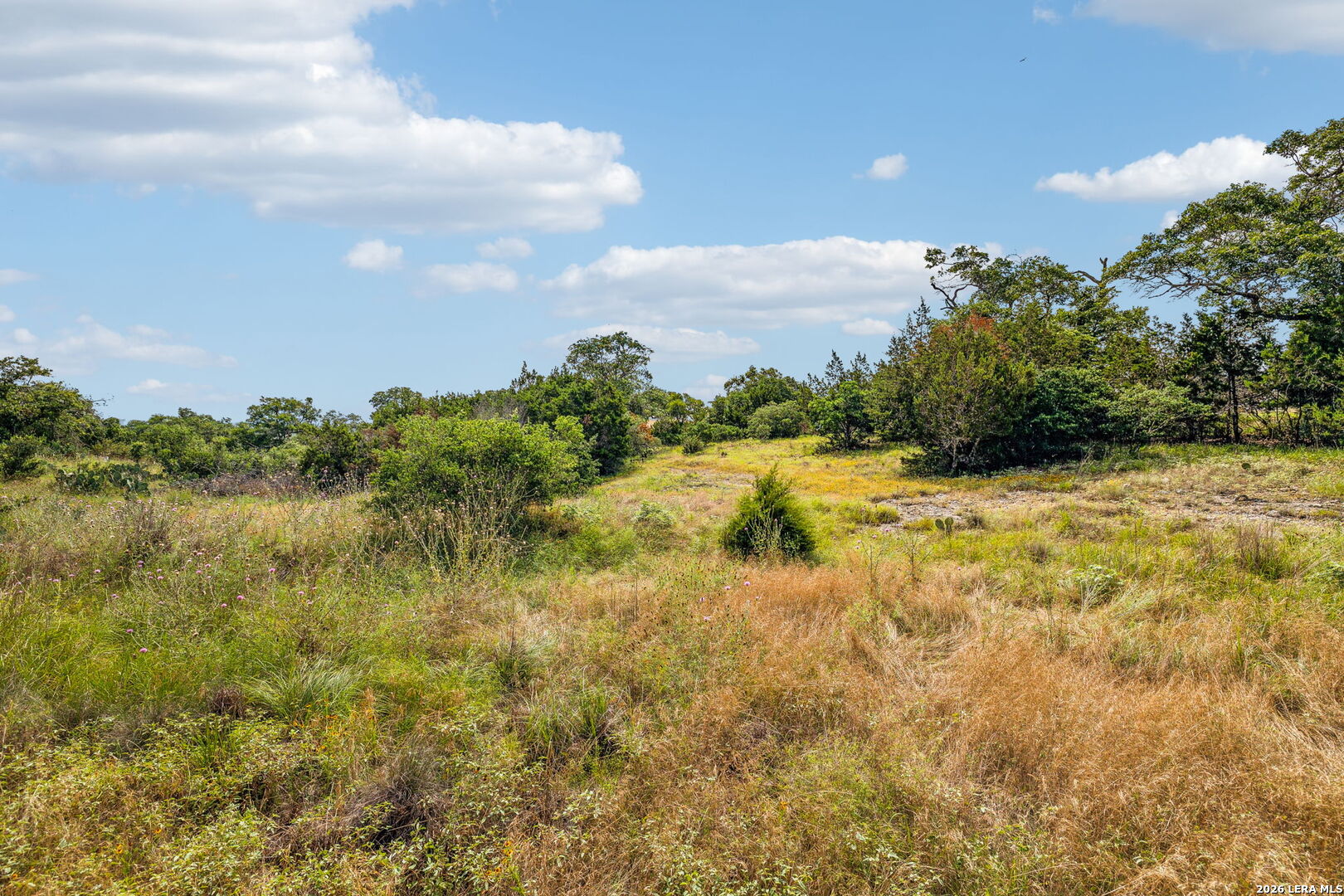 155 Obscure Way Spring Branch, TX 78070 - Photo 4 of 25