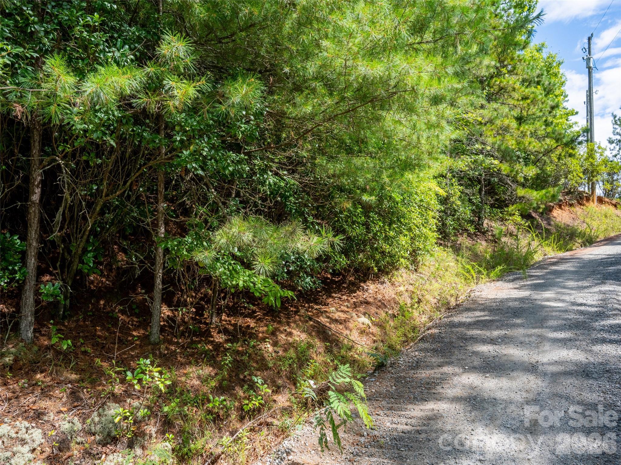 0 Miracle Valley Road Pisgah Forest, NC 28768 - Photo 4 of 18 Gallery Image 4