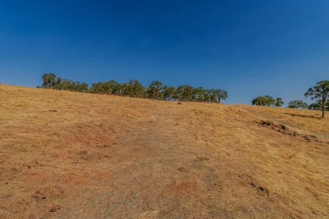 a view of a dry yard