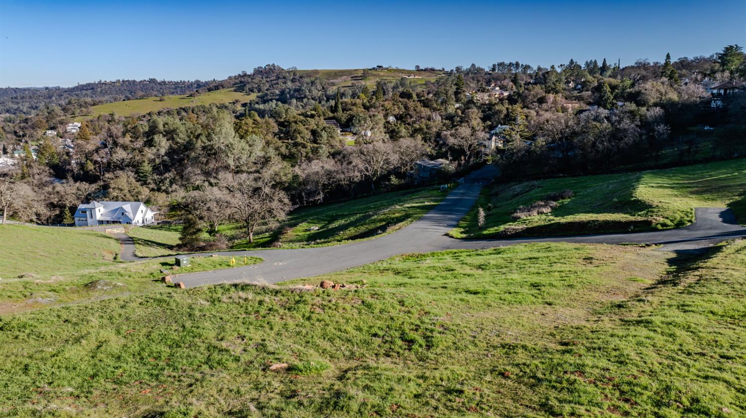 52 David Drive Sutter Creek, CA 95685 - Photo 7 of 10 a view of a park with large trees