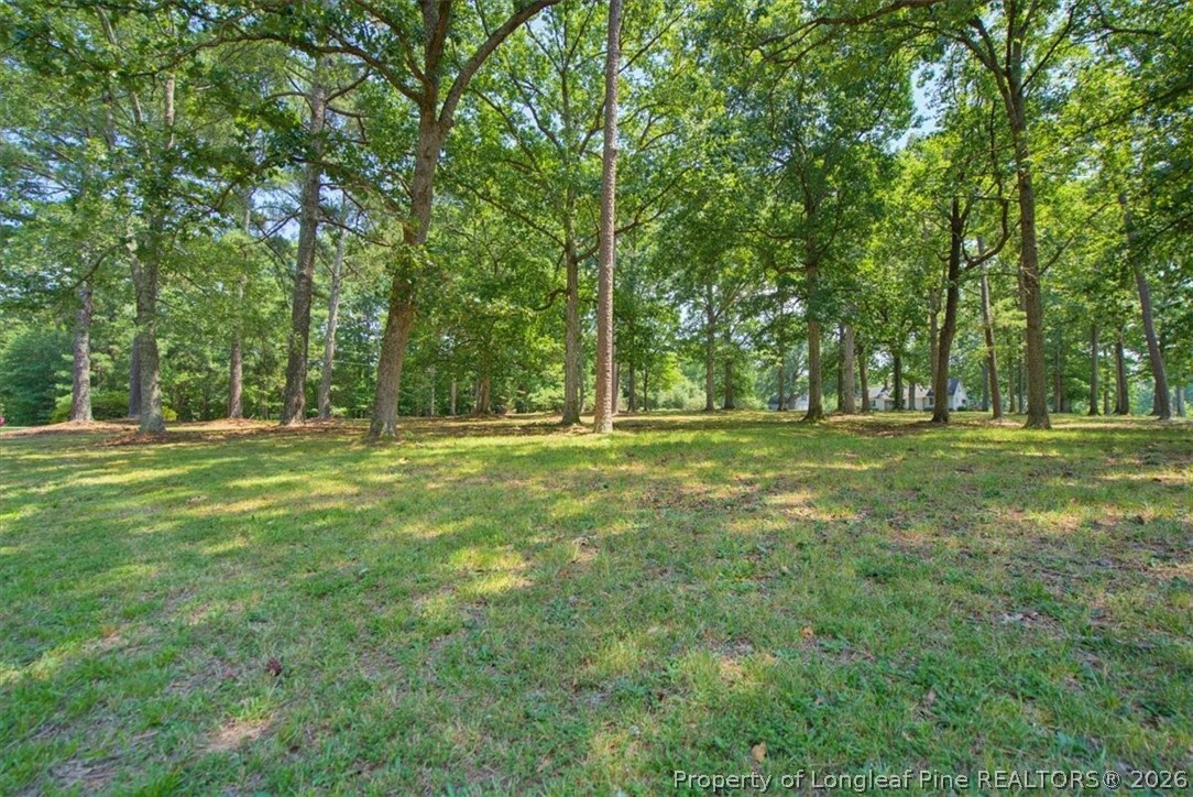 3055 Cedar Hill Road Robbins, NC 27325 - Photo 43 of 50 Gallery Image 43