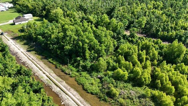 2836 Falcon Ct Road Paulina, LA 70763 - Photo 3 of 11
