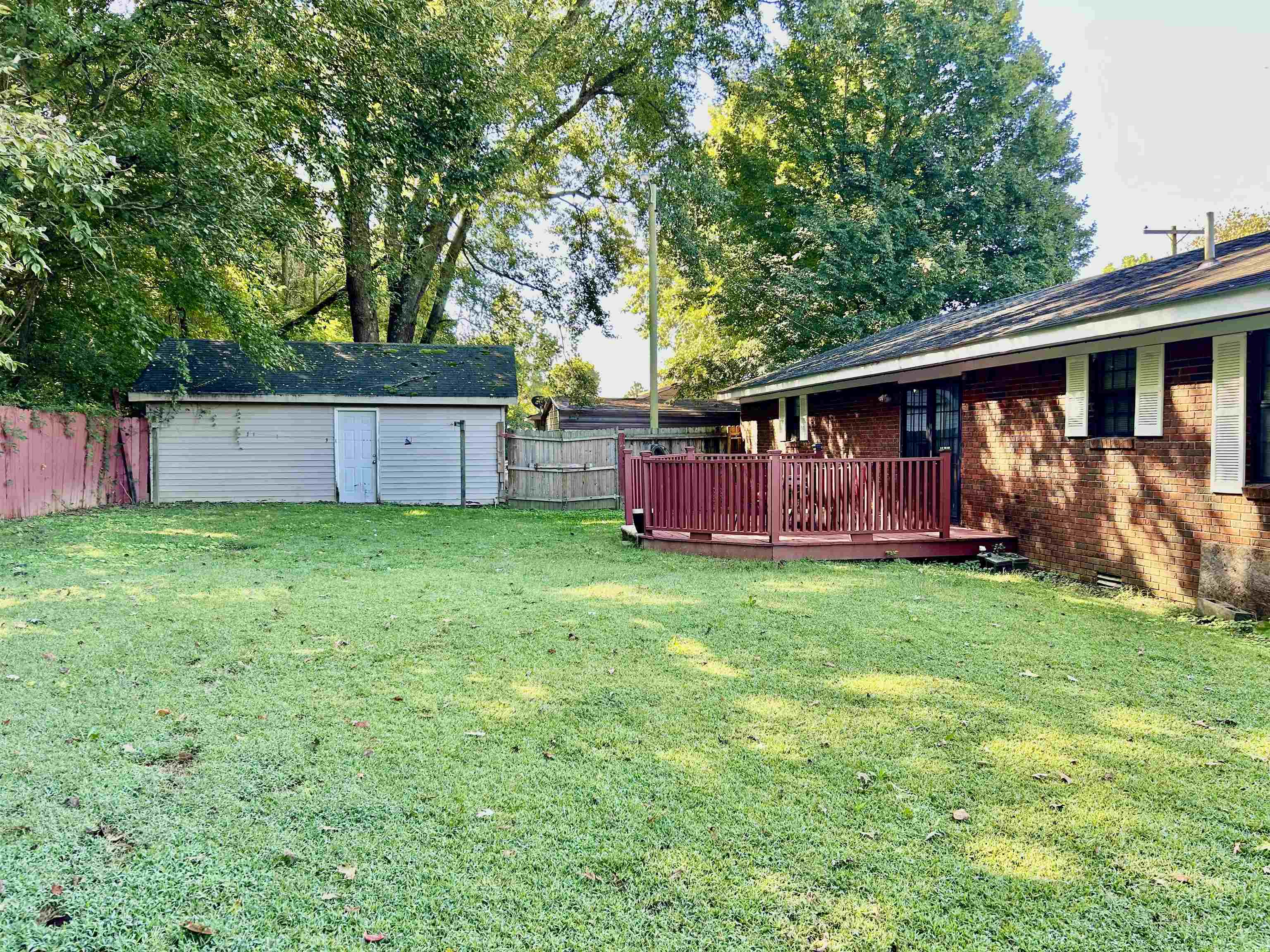 224 Mary Lynn Avenue Ripley, TN 38063 - Photo 3 of 16 a view of backyard with large trees and wooden fence
