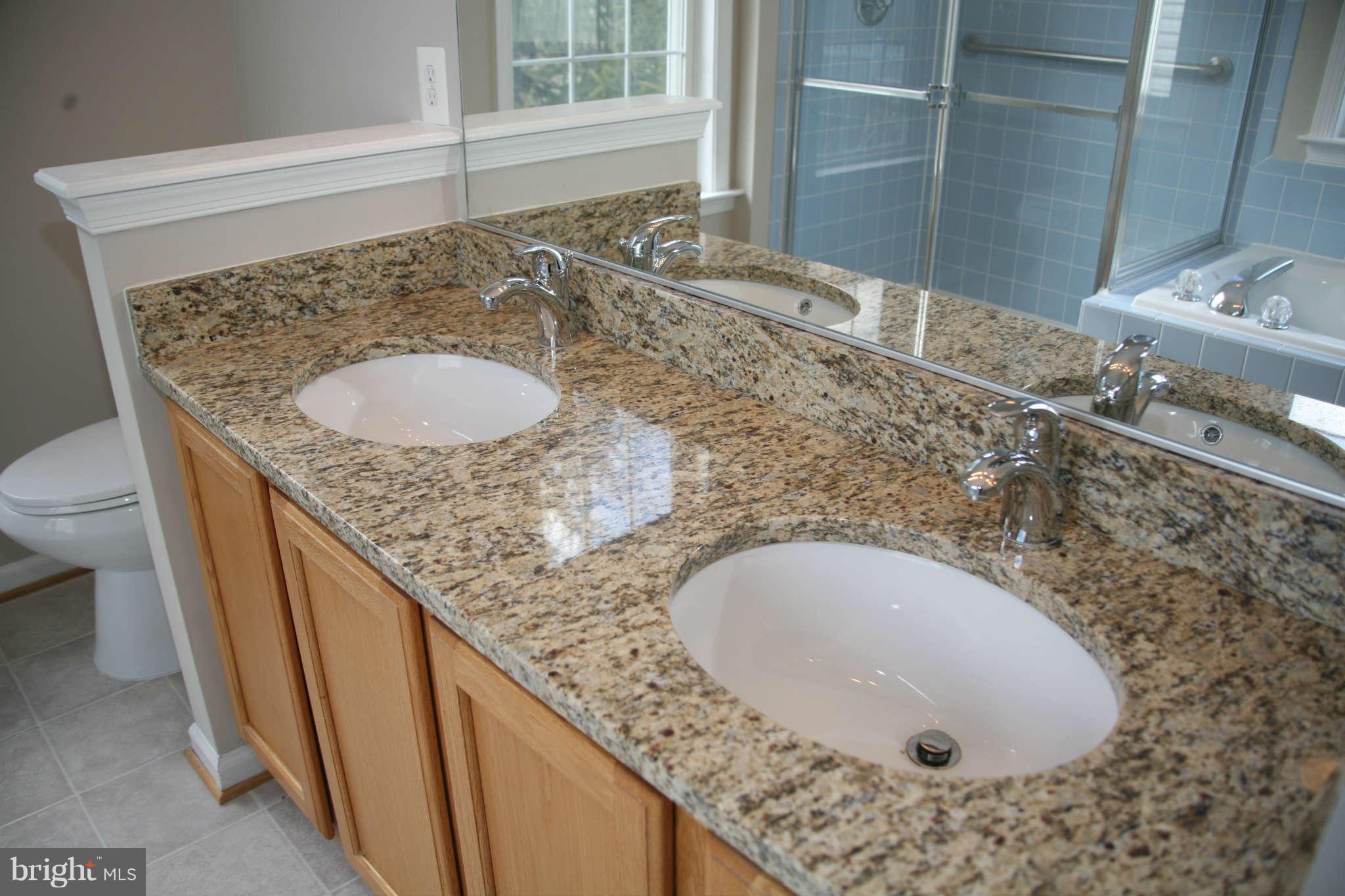 13587 Ryton Ridge Lane Gainesville, VA 20155 - Photo 15 of 28 Master Bedroom with Double Vanity
