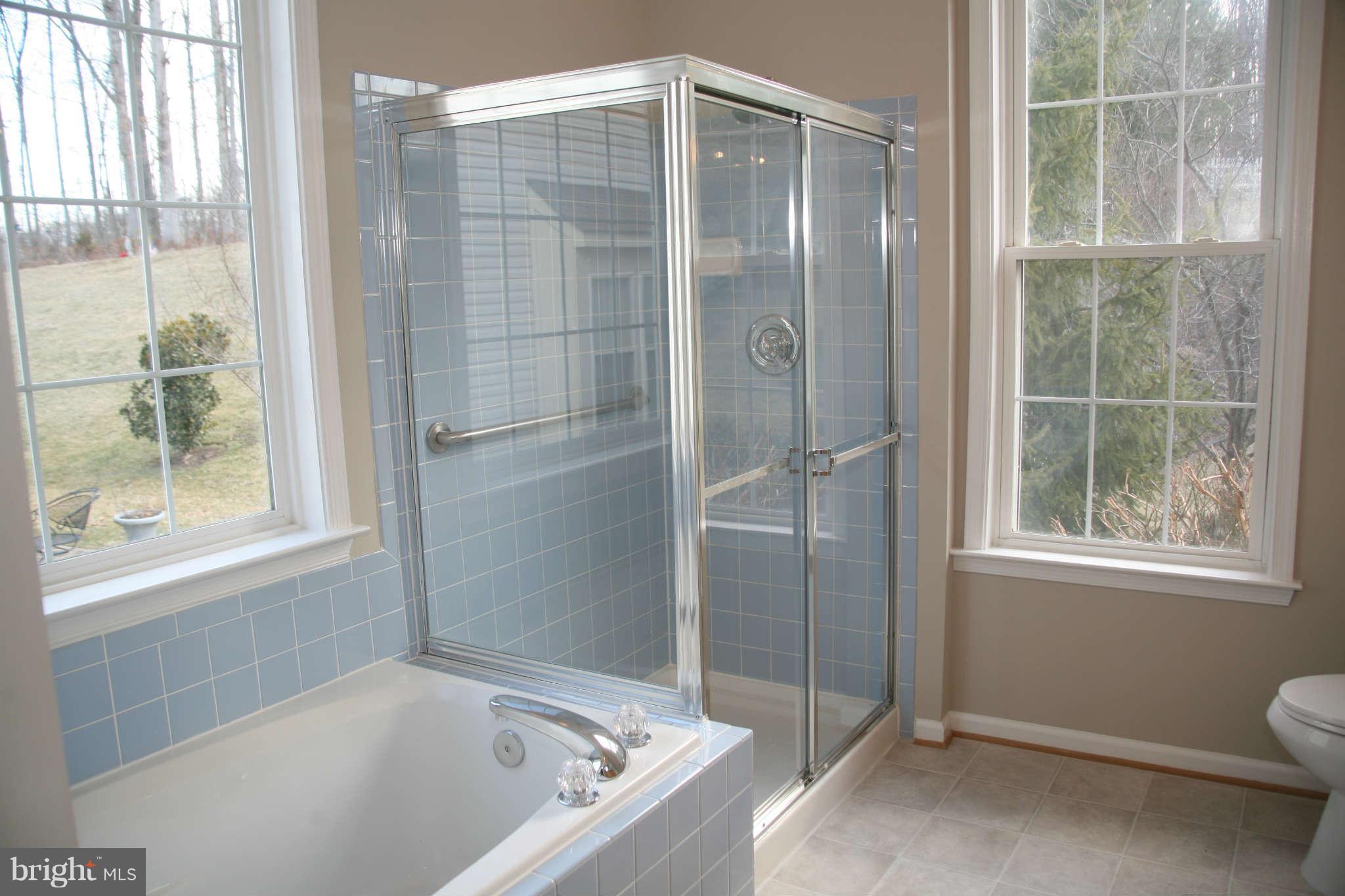 13587 Ryton Ridge Lane Gainesville, VA 20155 - Photo 16 of 28 Master Bedroom with Separate Shower and Tub