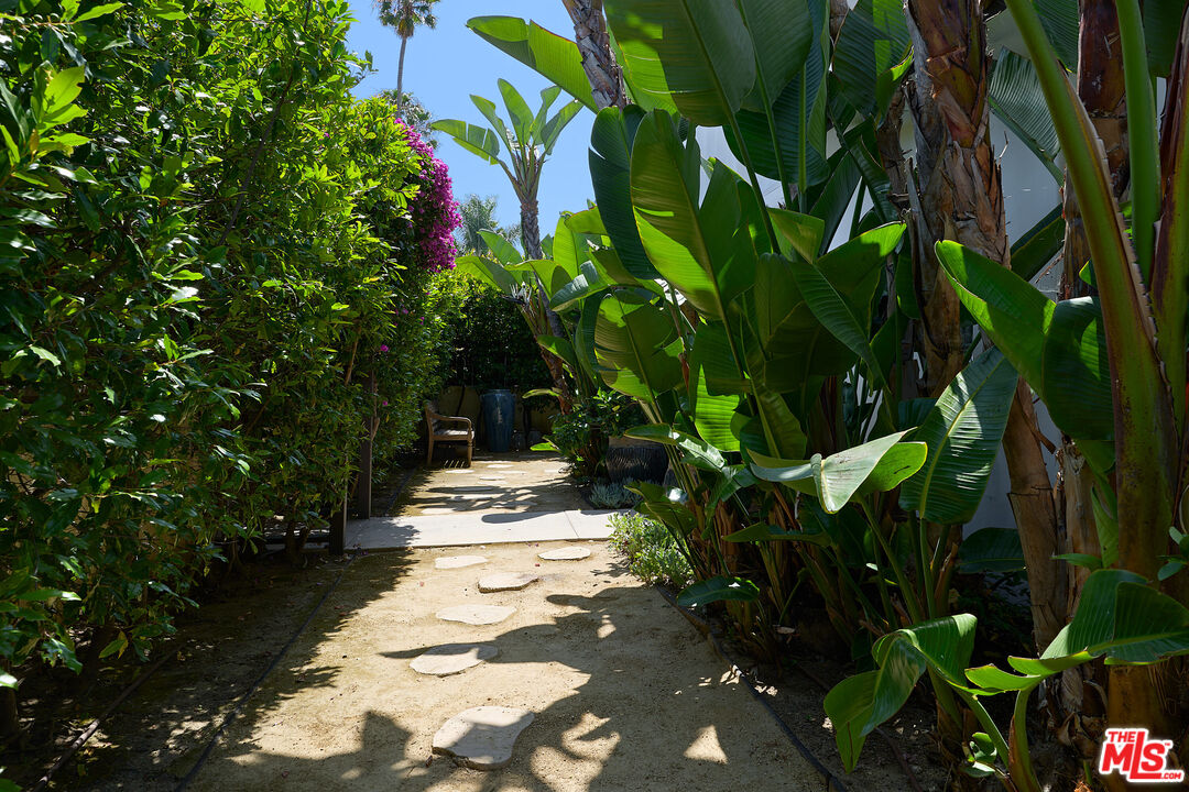 697 Washington Boulevard Marina del Rey, CA 90292 - Photo 6 of 23 a view of a yard with plants