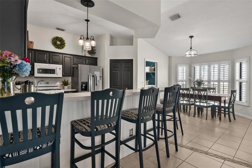 33142 Kaylee Way Leesburg, FL 34788 - Photo 15 of 45 a view of a dining room with furniture and chandelier