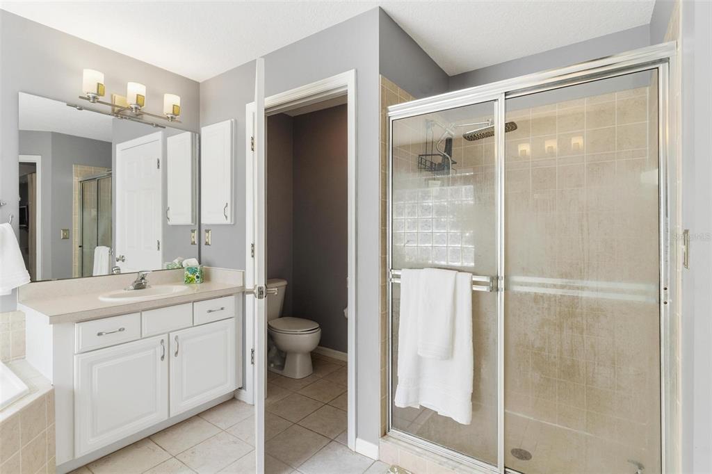 33142 Kaylee Way Leesburg, FL 34788 - Photo 27 of 45 a spacious bathroom with a shower sink vanity and a mirror